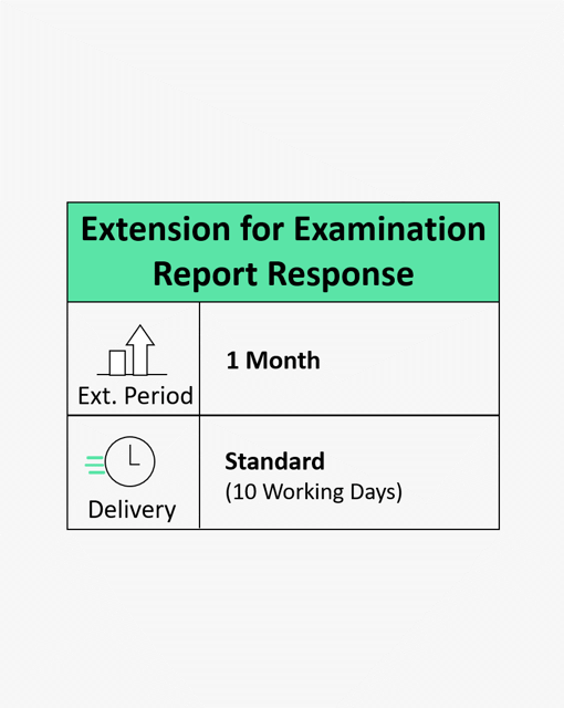 Extension for Examination Report Response One Month