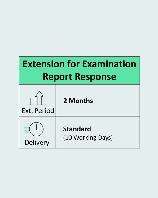 Extension for Examination Report Response Two Months