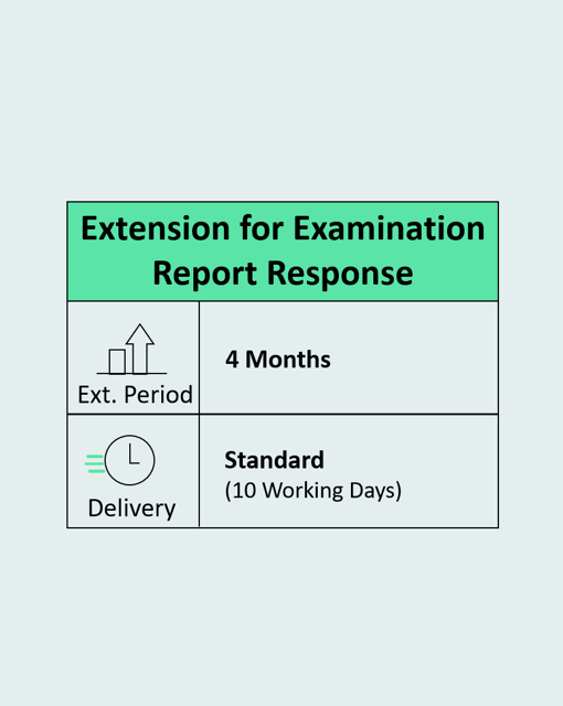 Extension for Examination Report Response Four Months