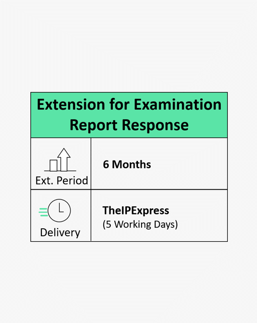 Extension for Examination Report Response Six Months