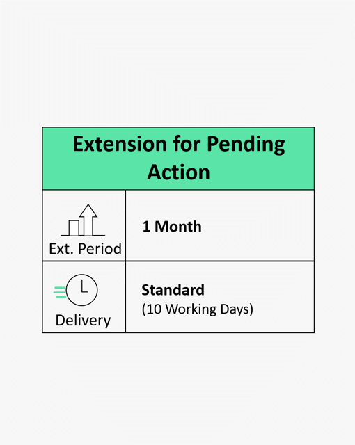 Extension for Pending Action One Month