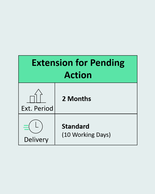 Extension for Pending Action Two Months