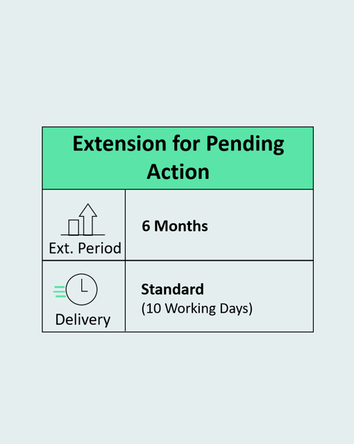 Extension for Pending Action Six Months