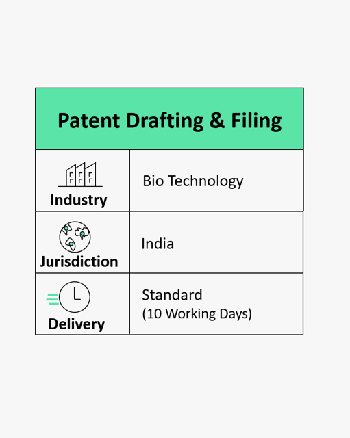 Patent Drafting and Filing