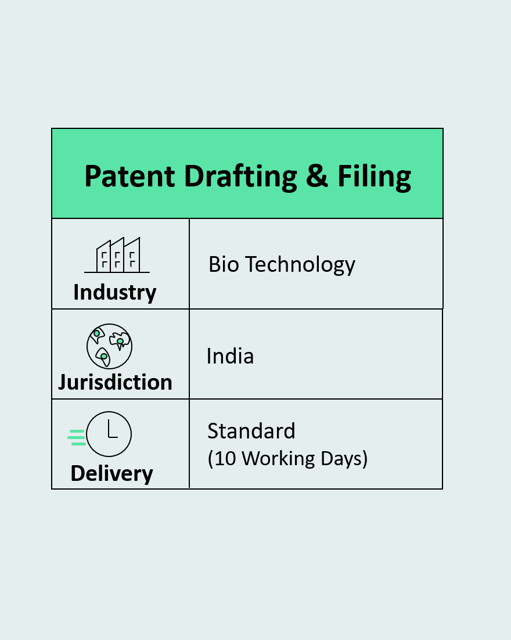 Patent Drafting and Filing