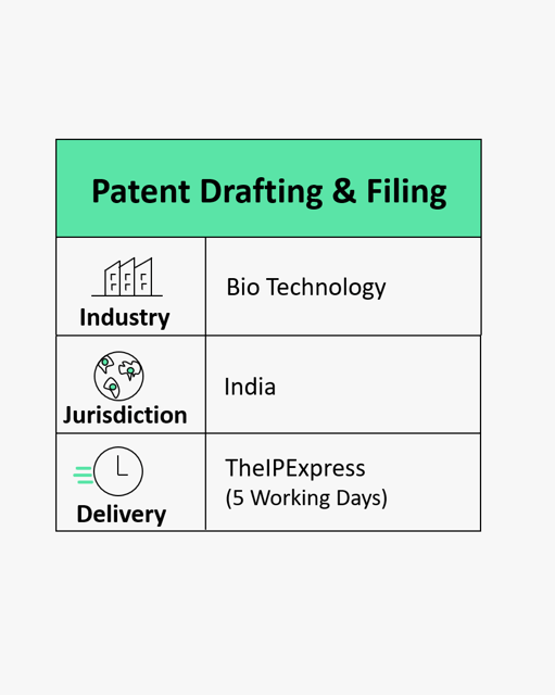 Patent Drafting and Filing