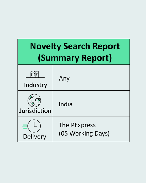 India Novelty Search Report - (Summary)