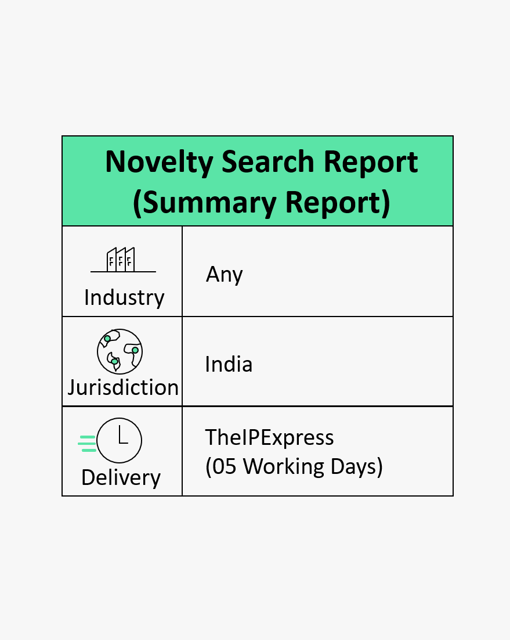 India Novelty Search Report - (Summary)